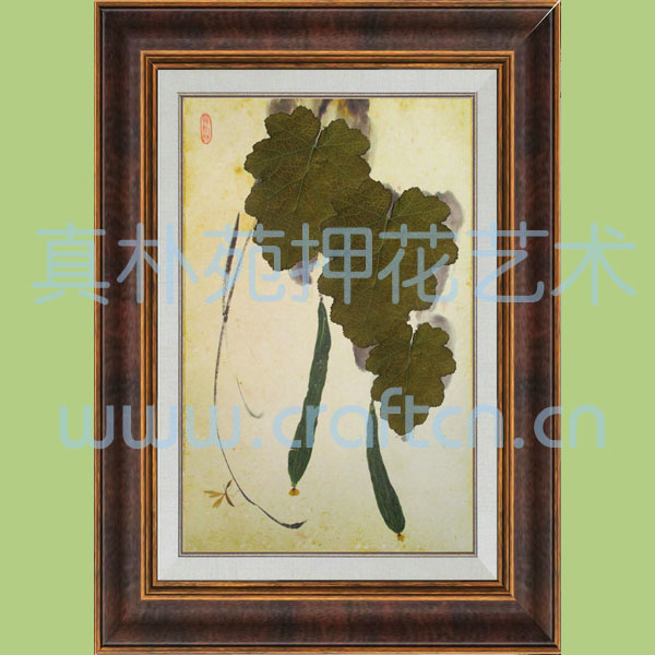 押花装饰画SC5070-505野草蜻蜓