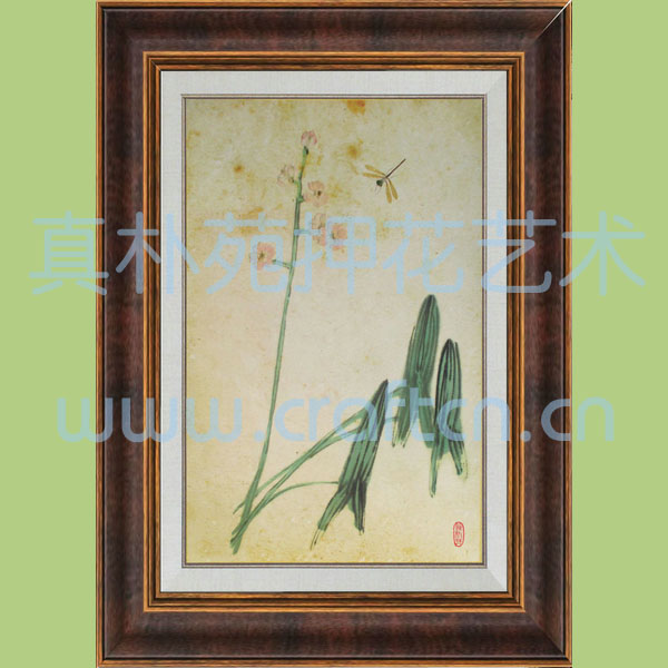 押花装饰画SC5070-505野草蜻蜓