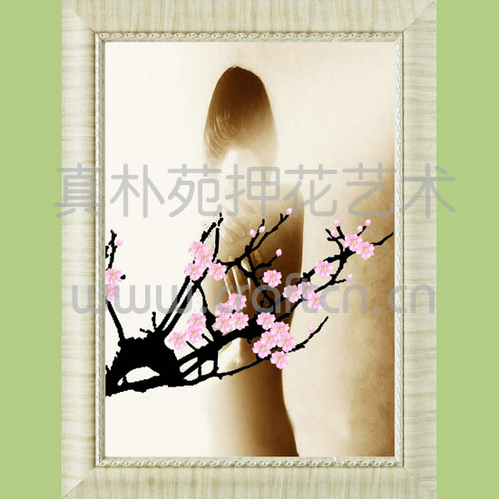 押花装饰画SC6080-1612
